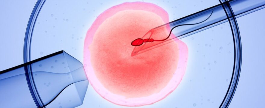 In Vitro Fertilisation: Important Facts And Figures About IVF