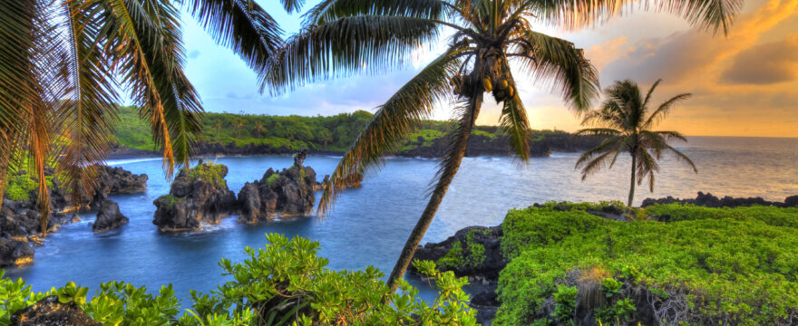 Opportunities For Volunteering Abroad In Hawaii