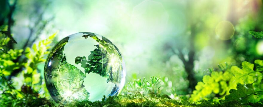 How Going Green can Save you Money in the Long Run