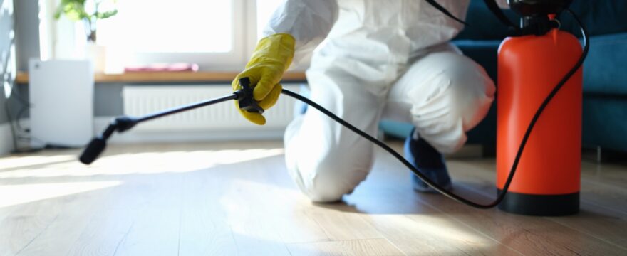 4 Cost-Effective Pest Control Strategies for Businesses To Save Money